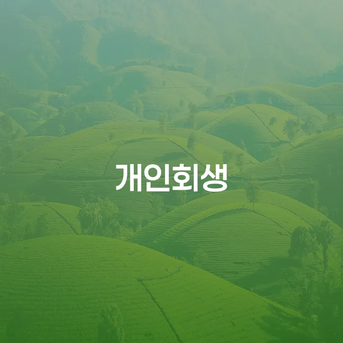 워크아웃신청 카드빚 연체 면책받고