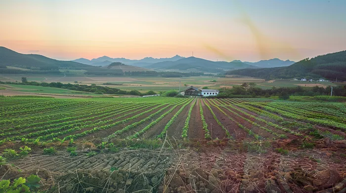 기업회생변호사