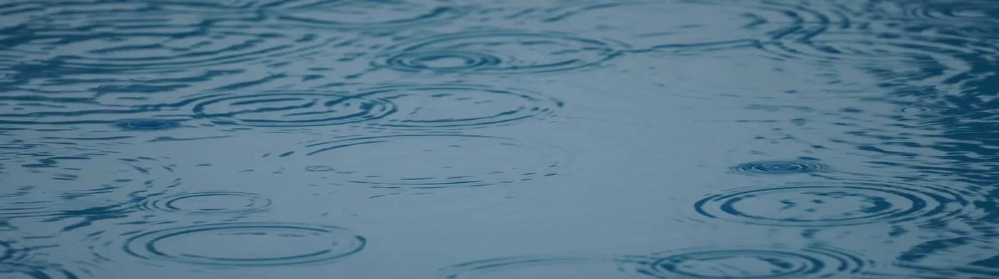 법무법인 서앤율