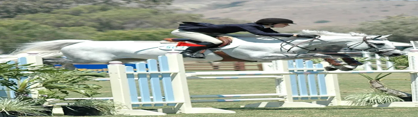 법무법인 서앤율