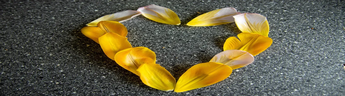 법무법인 서앤율